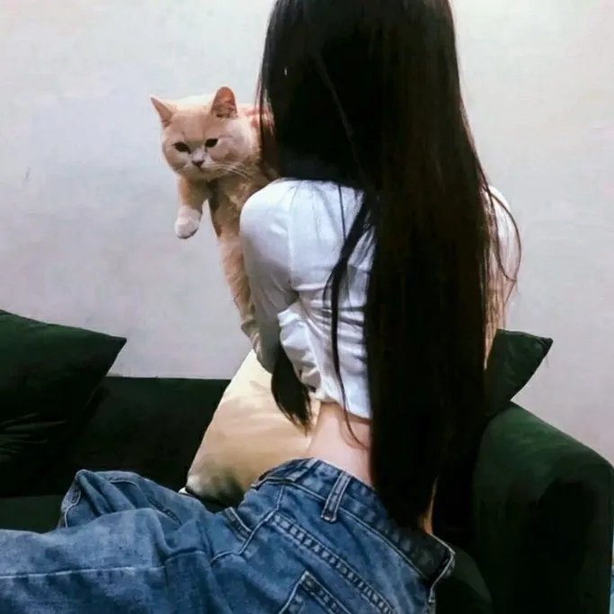 伴娘复仇记